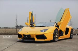 Lamborghini Aventador on Bronze PUR Wheels by SR Auto Group 2014 года